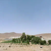 مرغداری گوشتی|فروش دفتر صنعتی، کشاورزی، تجاری|کوهپایه, |دیوار