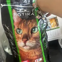 ۳کیلو غذا خشک گربه اورجینال