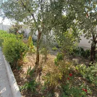 ویلا استخرسرپوشیده سهیلیه/تمیزی تضمین و امنیت بالا|اجارهٔ کوتاه‌مدت ویلا و باغ|کرج, گوهردشت|دیوار