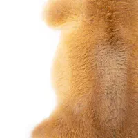 مرینوس|فرش|کرج, دهقان ویلا|دیوار