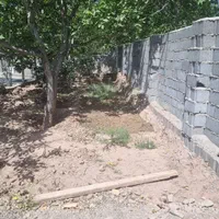 فروش باغ ۱۲۵۰ متر سند دار تسوج تمام اقساط|فروش خانه و ویلا|تبریز, |دیوار