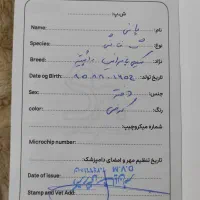 سگ پامرین اشپیتز|سگ|مشهد, پروین اعتصامی|دیوار