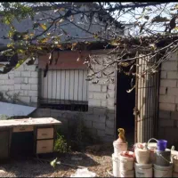 اجاره خانه قدیمی با چند دهنه انباری برای کسب وکار|اجارهٔ مغازه و غرفه|آمل, |دیوار