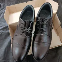 یک دست کت و شلوار کامل  نو|لباس|شیراز, کفترک|دیوار