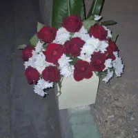 راهنمایی کنید
