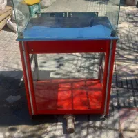 دخل ویترینی