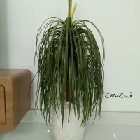 گل مصنوعی|گل مصنوعی|مشهد, رستگار|دیوار