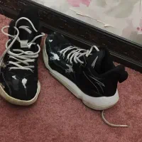 کفش اورجینال آنتا