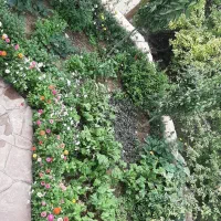 اجاره خونه ویلائی|اجارهٔ خانه و ویلا|شهمیرزاد, |دیوار