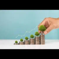 سرمایه گذاری