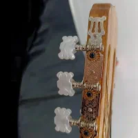 فروش فوری گیتار و سنتور|سازهای سنتی|یاسوج, |دیوار