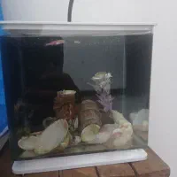 معاوضه اکواریوم