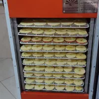 دستگاه میوه خشک کن|ماشینآلات صنعتی|مشهد, چاهشک|دیوار