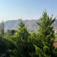 زمین-شیخ-آباد