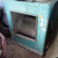 کولرابی سالم