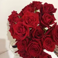 ۲۰ شاخه رز