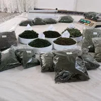 سبزی قرمه