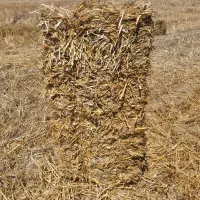 گلش بسته بندی