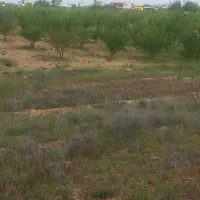 1000-متر-زمین-در-قره-چمن