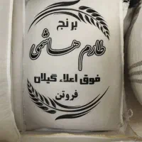 خریدار و فروشنده برنج و مواد غذایی به صورت نقدی