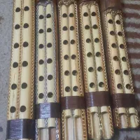 ساز نی همبون اقتصادی