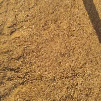 پودر هسته خرما