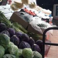 واگذاری مغازه میوه فروشی زیباشهر