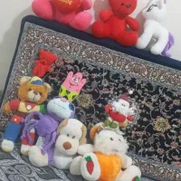گوله  پشتی  بچه