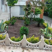 علفتراشی بریدن درخت وکلیه کارهای باغبانی|خدمات باغبانی و درختکاری|نوشهر, |دیوار