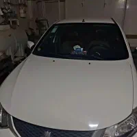 ساینا دوگانه