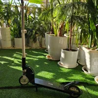 اسکوتر دخترونه