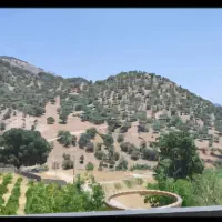 فروش خونه ویلایی دوبلکس دهنو|فروش خانه و ویلا|یاسوج, |دیوار