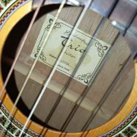گیتار tric ساخت چین|گیتار، بیس، امپلیفایر|کرج, حسین‌آباد|دیوار