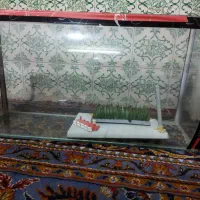 آکواریوم|لوازم جانبی حیوانات|مشهد, امام رضا (ع)|دیوار