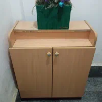 جاکفشی درحدنو