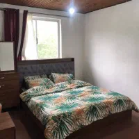 فروش ویلا جنگلی در روستای نزدیک گیسوم ۶۰۰متر زمین|فروش خانه و ویلا|پرهسر, |دیوار