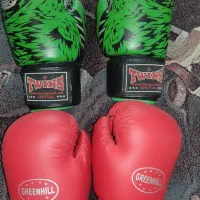 کیسه بوکس ـ دستکش بوکس ـ اسکوتر|تجهیزات ورزشی|تهران, درختی|دیوار