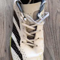 کفش سالنی آدیداس پریدیتور اصل|کیف، کفش، کمربند|هشترود, |دیوار