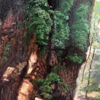 تابلوی رنگ روغن|تابلو، نقاشی، عکس|تهران, شهرک مخابرات|دیوار