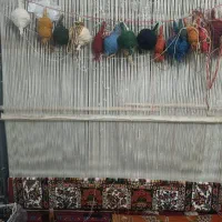 قالی دست بافت شهرکردی|فرش|لنجان, |دیوار