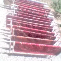 کاردر قالیشویی