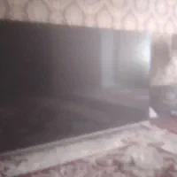 ال ای دی مارشال ۶۵