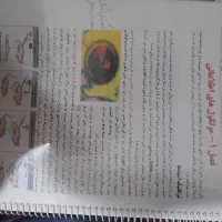 جزوه زیست دوازدهم حنیف عظیمی