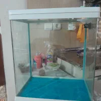 دوتا اکورایوم یا تمامی وسایل