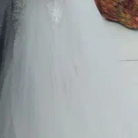 لباس عروس دخترانه در حد نو