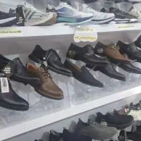 قفسه رگال خور|کتابخانه، شلف، قفسههای دیواری|دهاقان, |دیوار