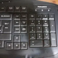 کیبورد|گل و گیاه طبیعی|کرج, برغان|دیوار