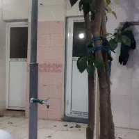 اجاره روزانه باغ شهری|اجارهٔ کوتاهمدت ویلا و باغ|برازجان, |دیوار