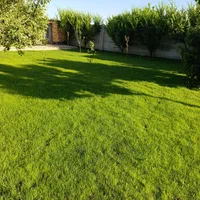 چمن کاری گل کاری حرص کار