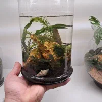 پلنتاریوم بسیار زیبا مناسب انواع ماهی و میگو